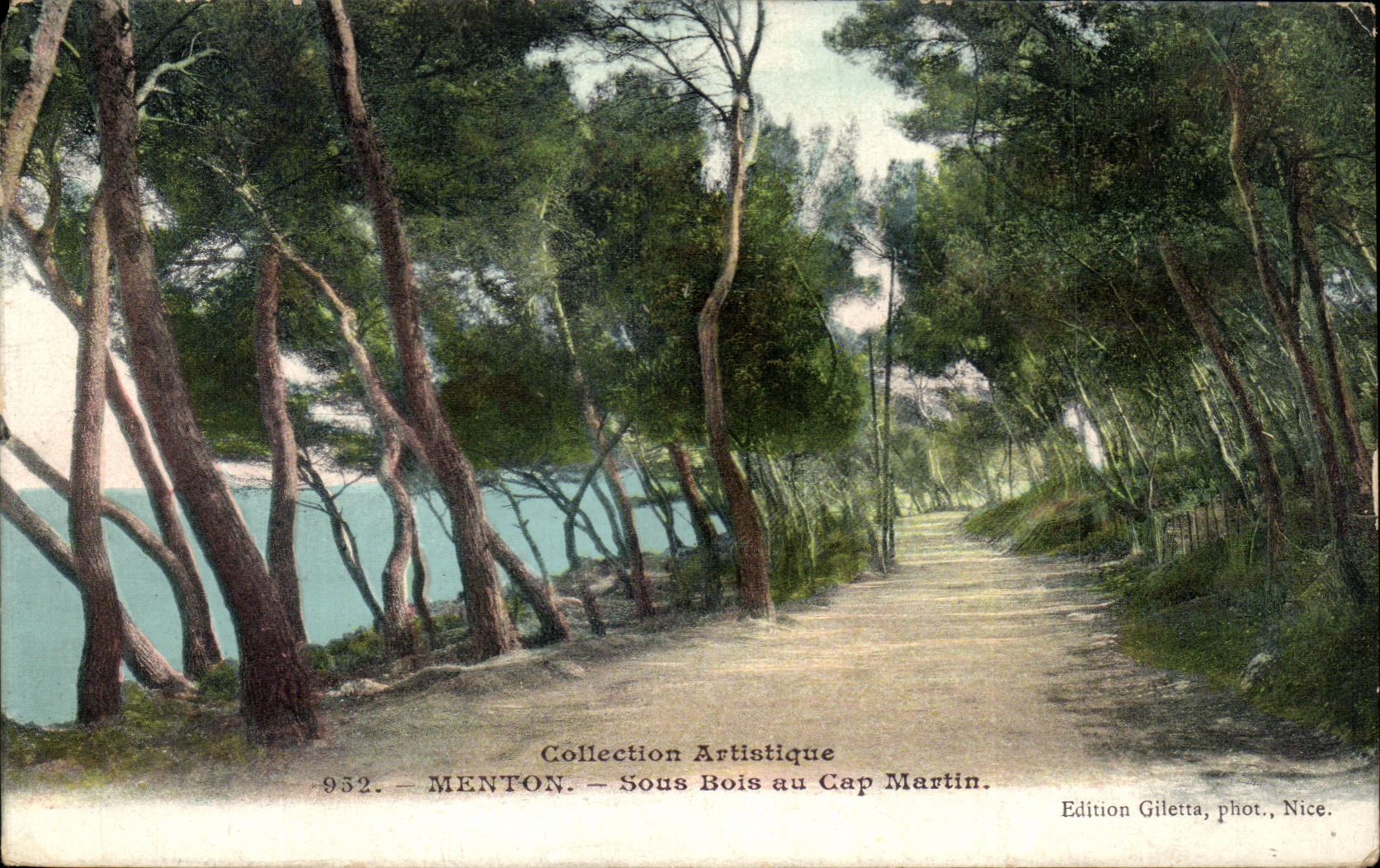 CPA Menton Sous Bois au Cap Martin