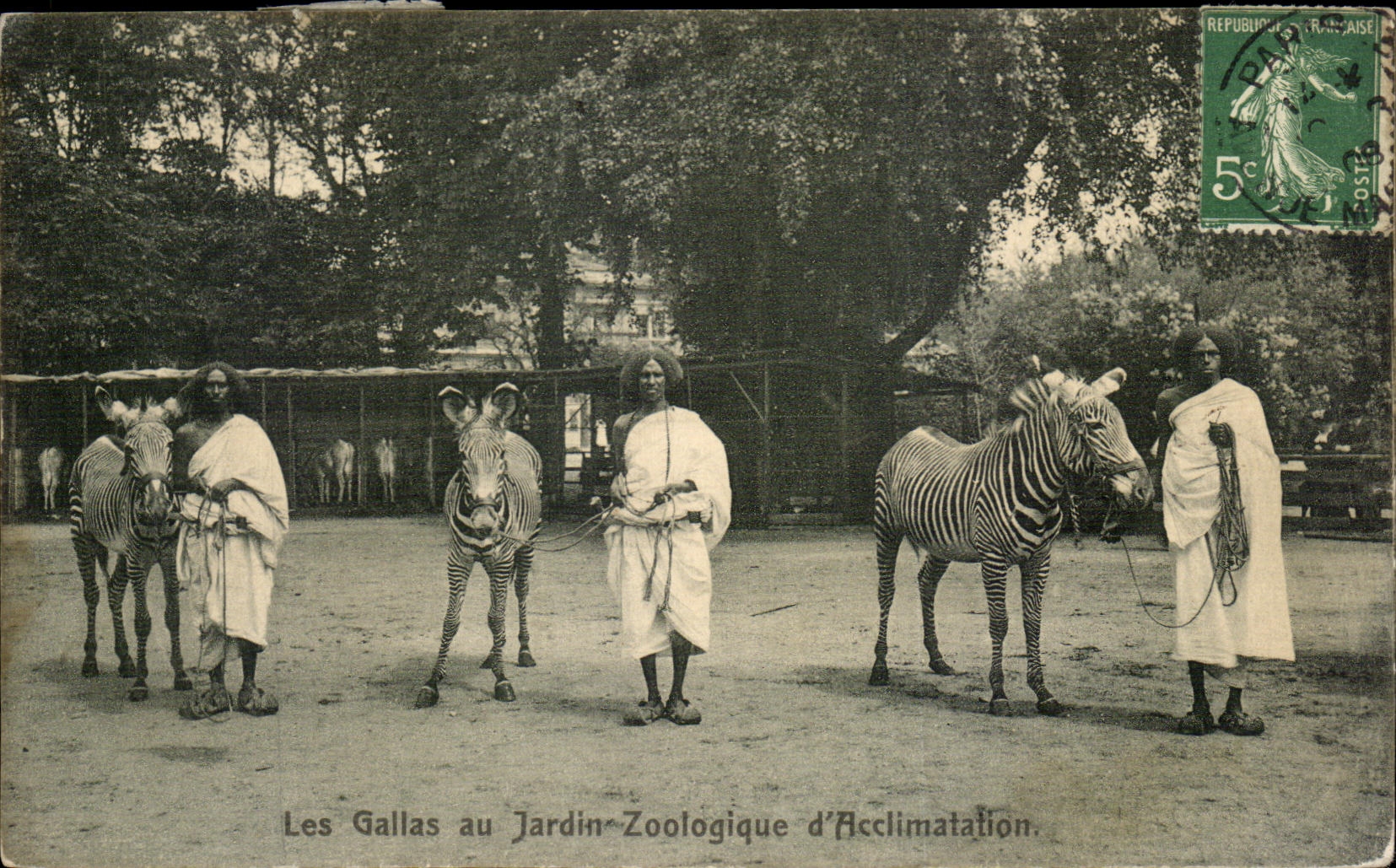 Les Gallas au Jardin-Zoologique d'Acclimatation — éditeur non visible, n° de série non visible