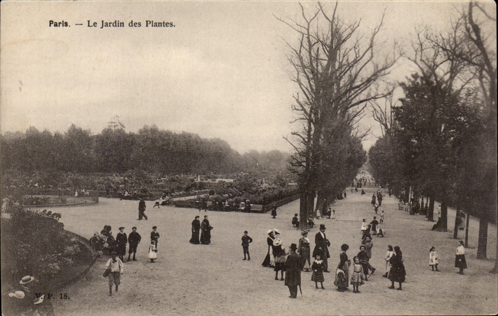CPA Paris Le Jardin des Plantes Enfants