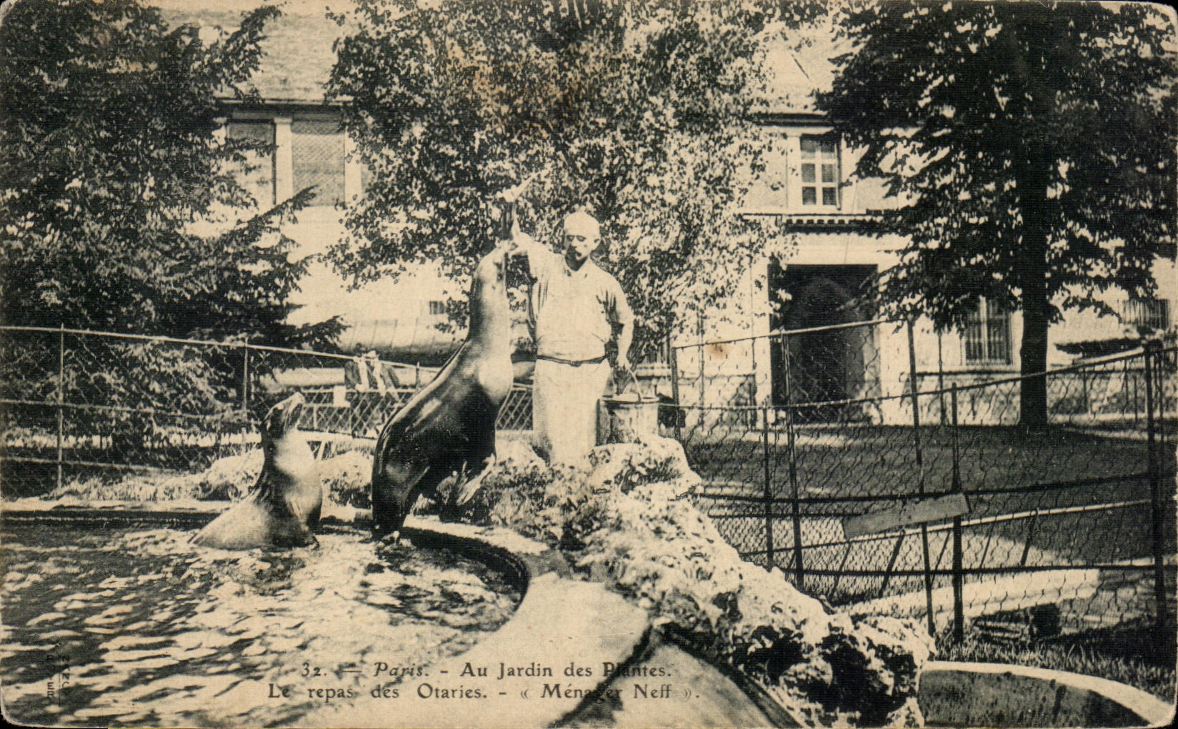 Paris - Au Jardin des Plantes - Le repas des Otaries - Ménager Neff