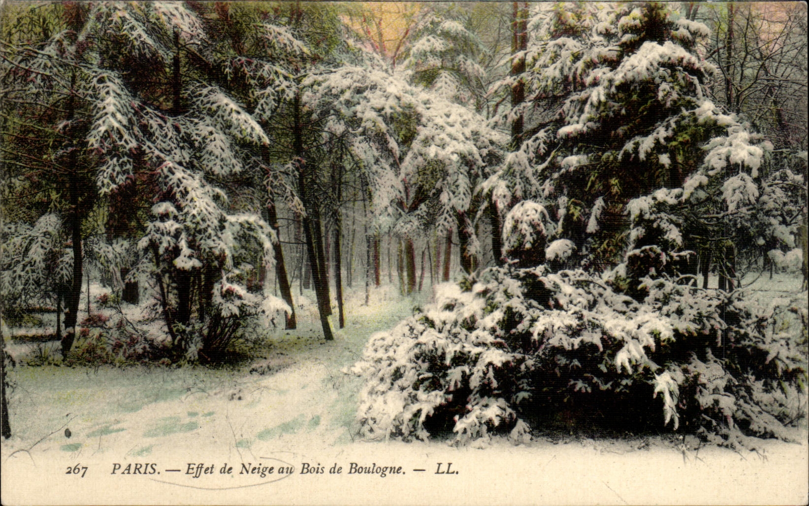 CPA Paris Effet de Neige au Bois Boulogne