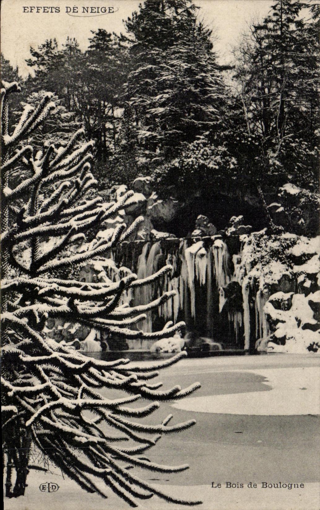 CPA Bois de Bois Boulogne Effets De Neige