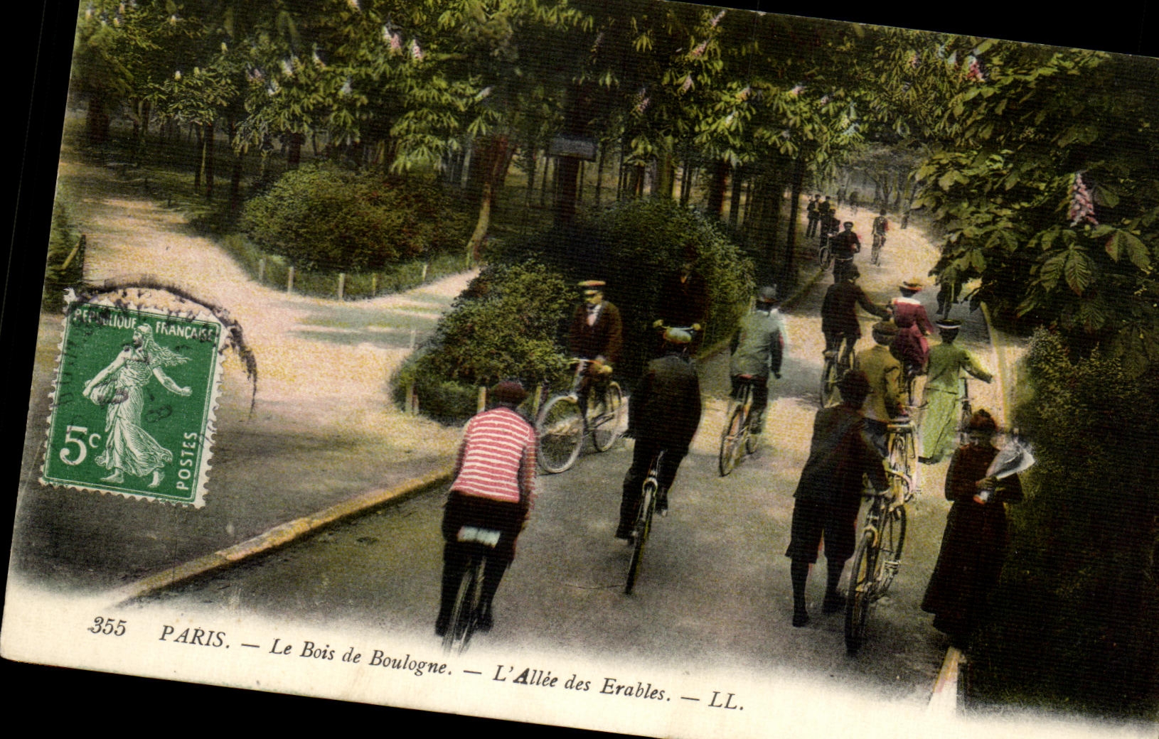 Paris — Le Bois de Boulogne — L'Allée des Erables — LL. — n°355