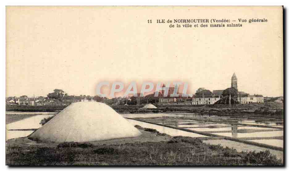 CPA Ile de Noirmoutier Vue Generale de la Ville et des Marais Salants