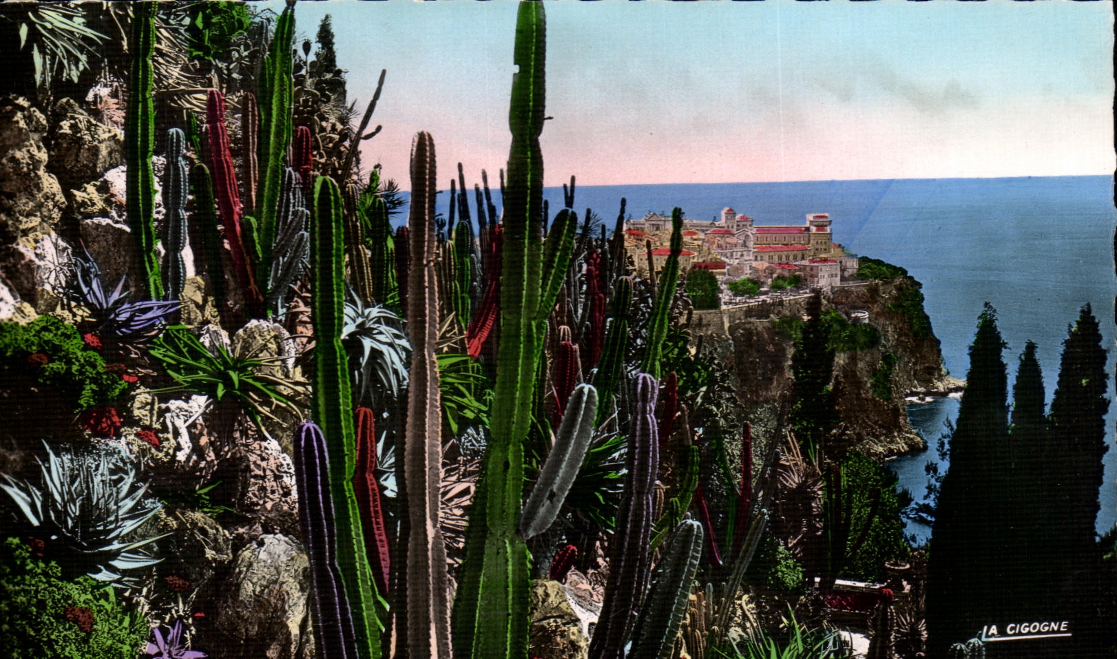Les jardins exotiques — Vue sur le rocher de Monaco — Editions 'LA CIGOGNE'