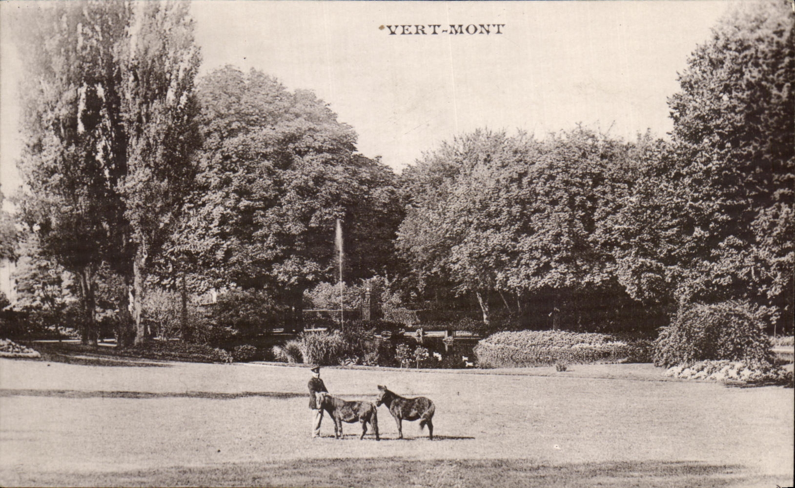 CPA Vert Mont Poneys Poney Cheval Horse