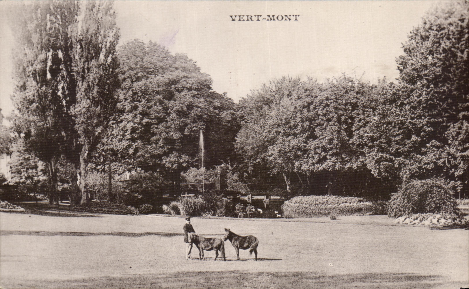 CPA Vert Mont Poneys Cheval Horse