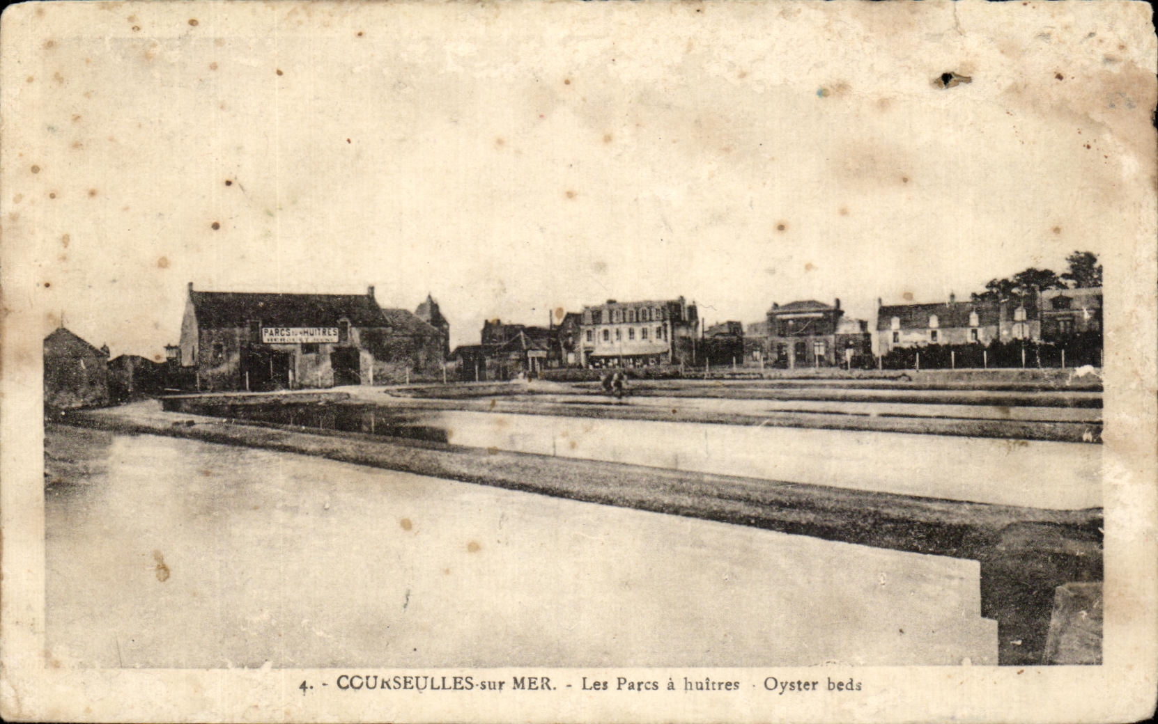 CPA Courseulles sur Mer Les Parcs a huitres Oyster