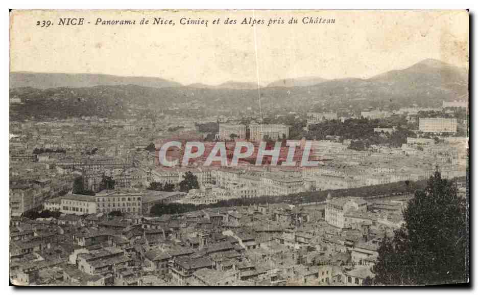 CPA Nice Panorama de Nice Cimise et des Alpes pris du chateau