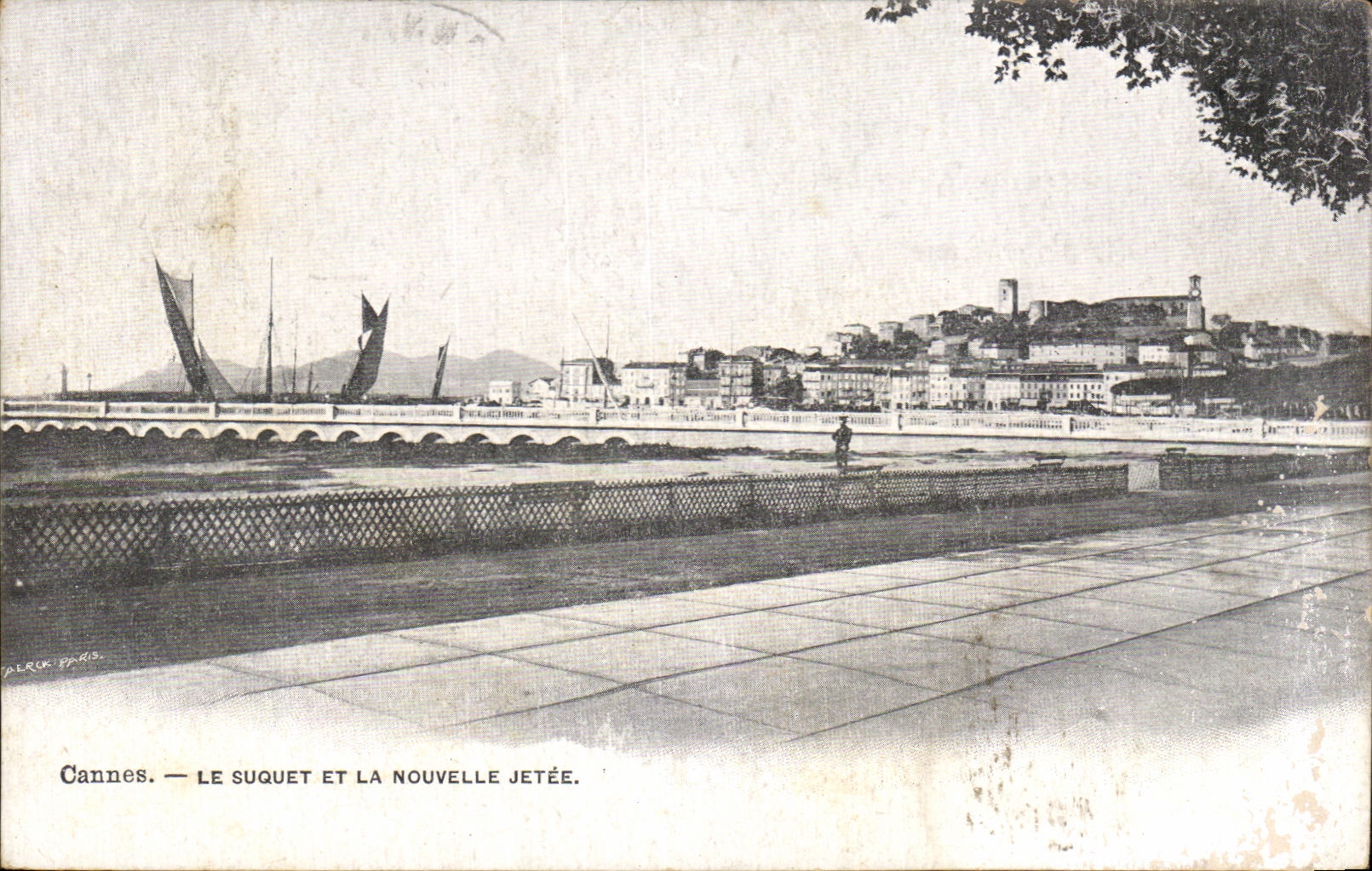 CPA Cannes Le Suquet et la Nouvelle Jetee