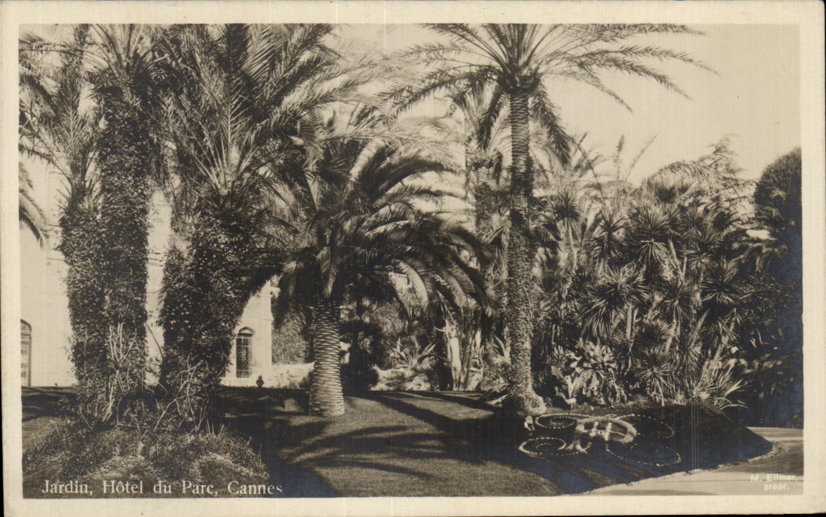 CPA Jardin Hotel du Parc Cannes 