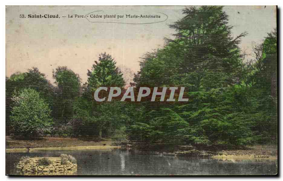 CPA Saint Cloud Le Parc Cedre Plante par Marie Antoinette