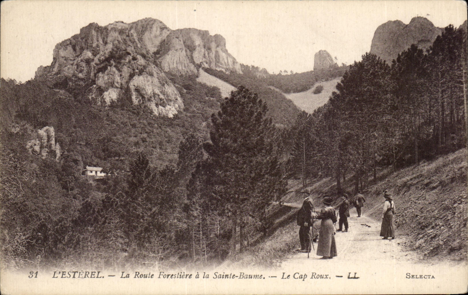 CPA L Esterel La Route Forestiere a la Sainte Baume Le Cap Roux