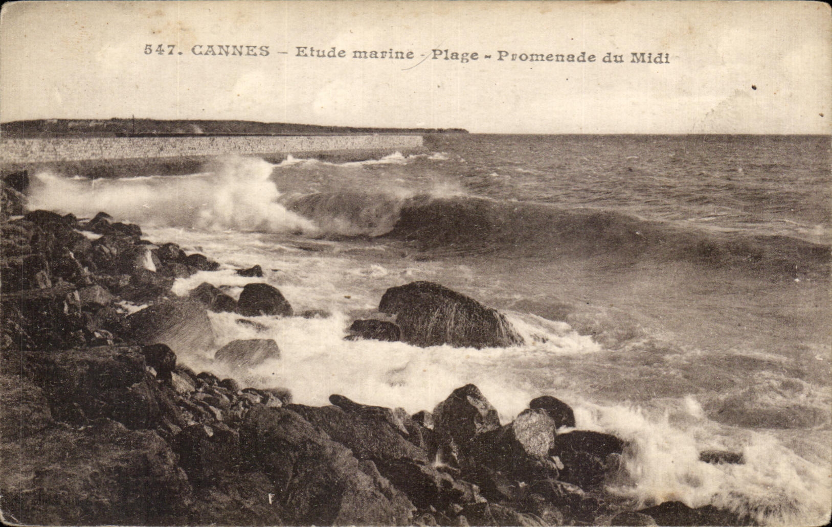 CPA Cannes Etude marine Plage 