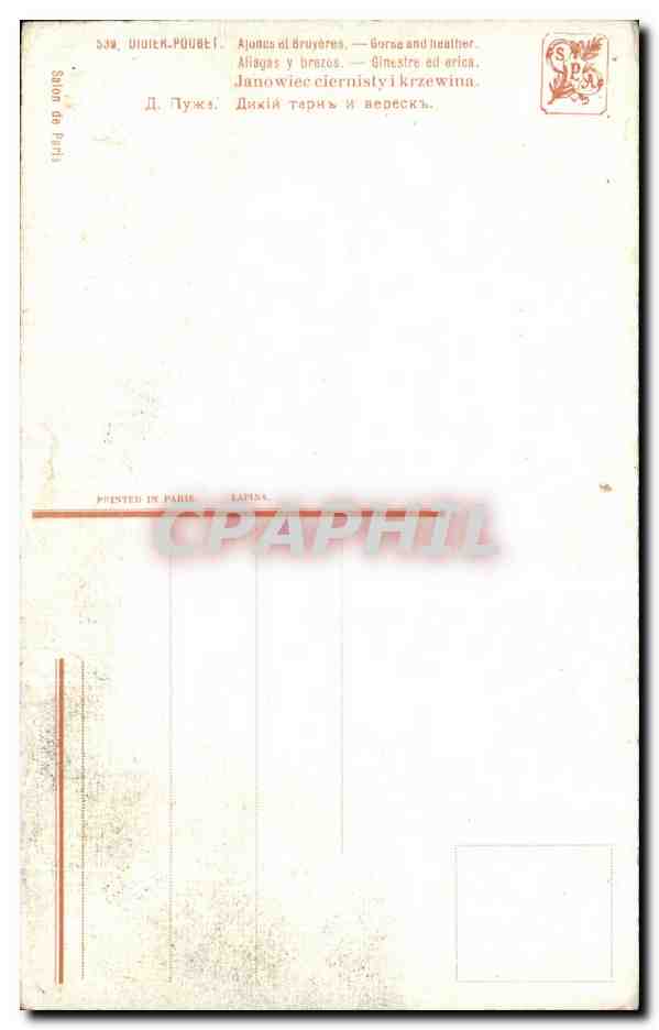 CPA Didier Poubet Ajoncs et bruyeres  — Verso