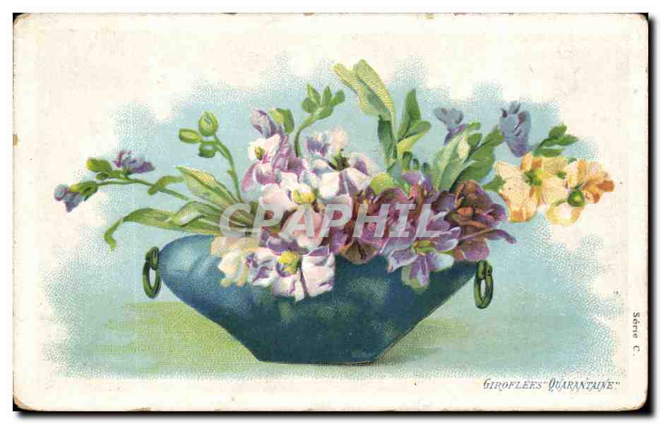 CPA Fantaisie Fleurs Giroflees Quarantaine 