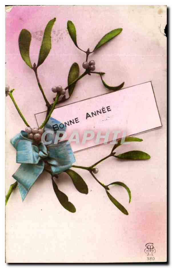 CPA Fantaisie Fleurs Bonne 