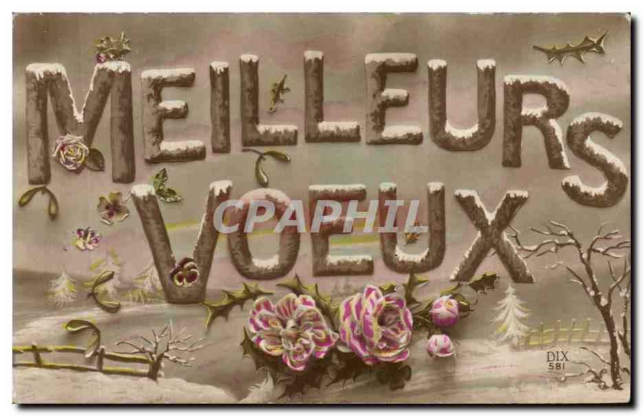 CPA Fantaisie Fleurs Meilleurs Voeux