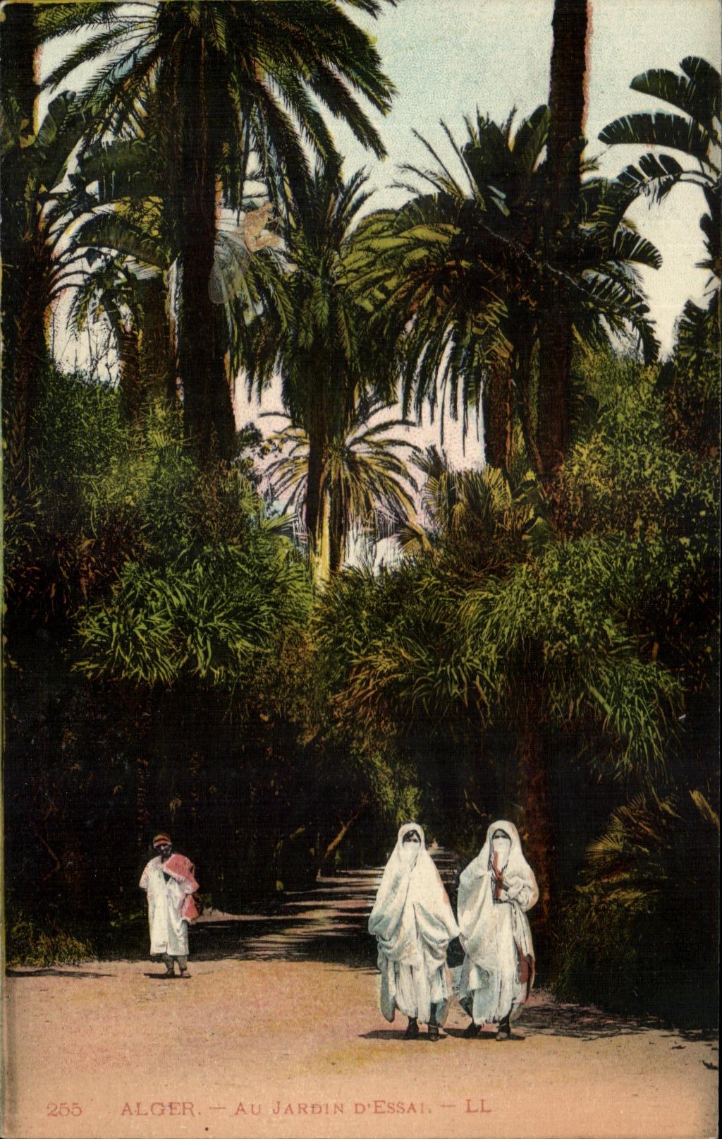 CPA Alger Au Jardin D Essai Femmes