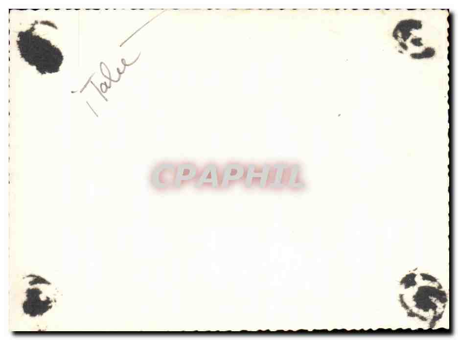 CPA Turin Cite Medieviale 1957 — Rückseite