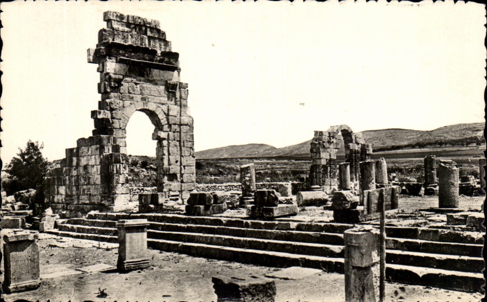 CPA Volubilis Basilique et Forum