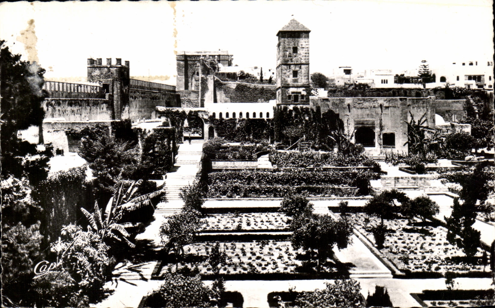 CPA Rabat Le Jardin des Oudaias maroc