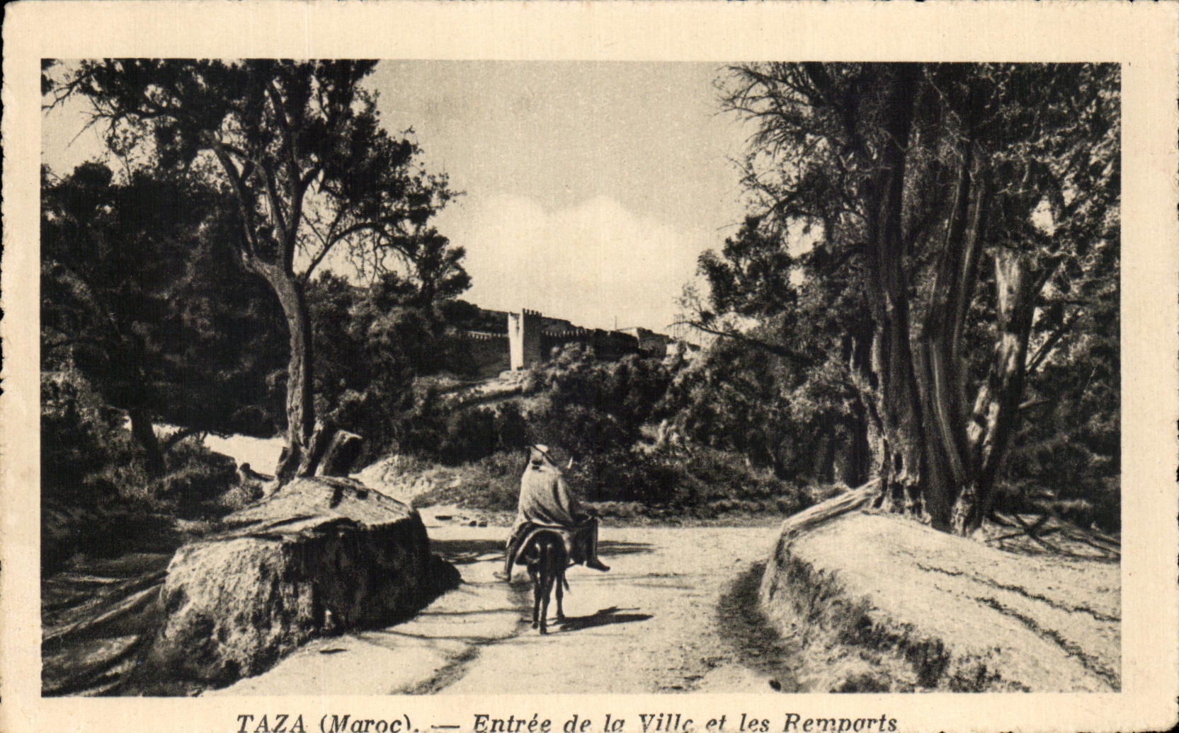 CPA Taza Entree de la Ville et les Remparts Maroc