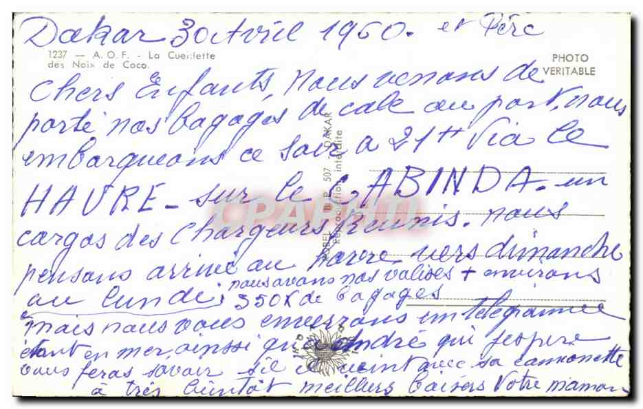 CPA A O F AOF La Cueillette des Noix de Coco — Reverso