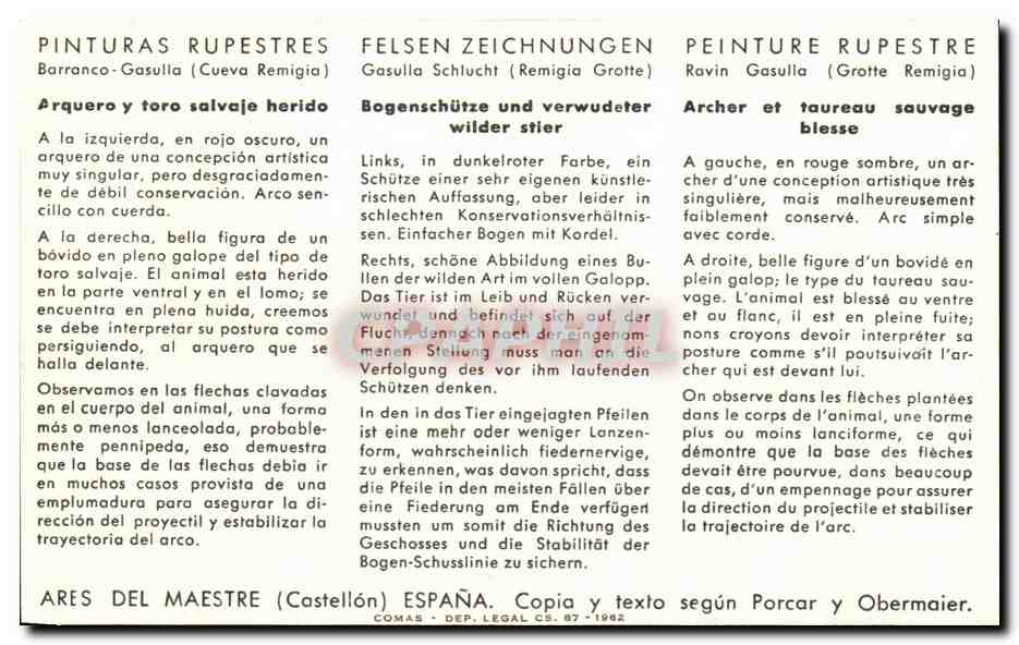 CPSM Arquero y toro Salvaje herido Bogenschutze und verwudeter wilder stier Archer et taureau sauvage blesse — Back
