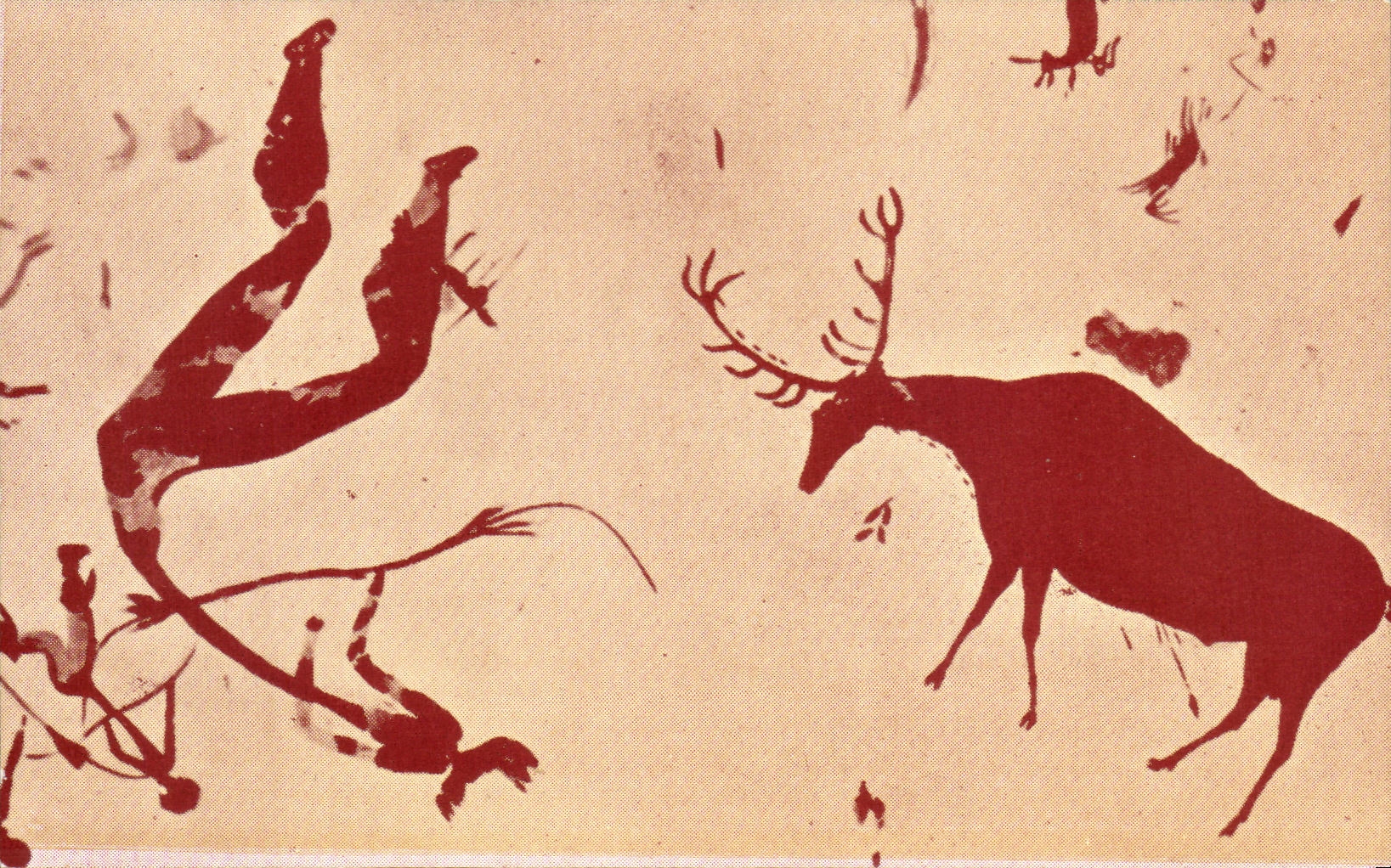 CPSM Ciervo grande Grosser hirsch Grand cerf