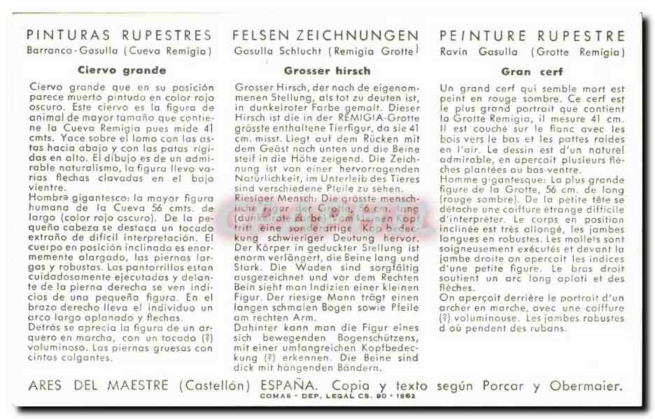 CPSM Ciervo grande Grosser hirsch Grand cerf — Rückseite