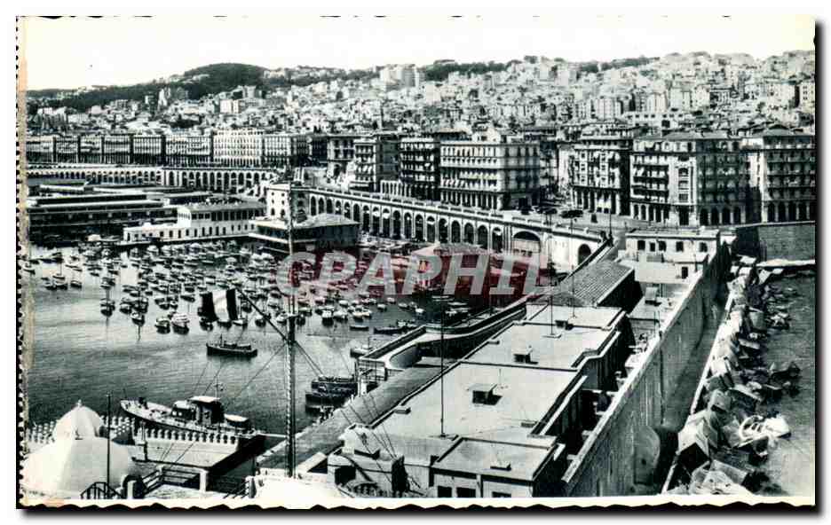 CPA Alger Vue generale Sur le Centre de la Ville