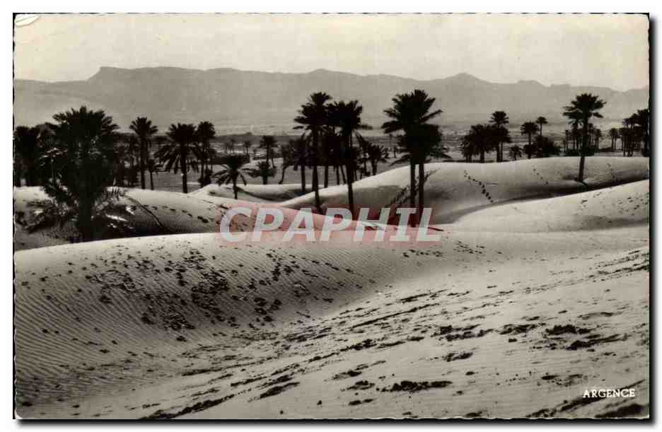 CPA Colomb Brchar Vue sur les Dunes Au Fond le Djebel Bechar