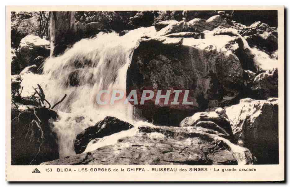 Blida - Les Gorges de la Chiffa - Ruisseau des Singes - La grande cascade — CPA PHIL n°153