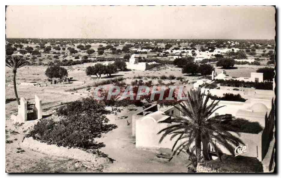 CPA Ile de Djerba La campague Djer binne et ses Menzels