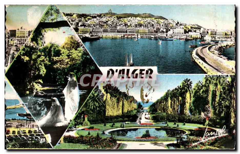 CPA Souvenir d Alger