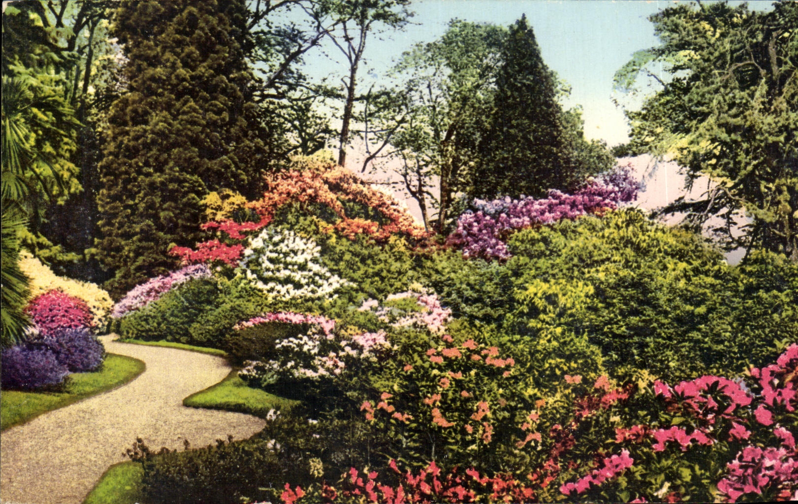 CPA Villa Carlotta Lago di Como Il parco in primavera