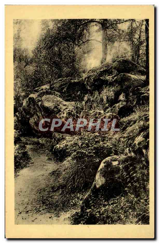 Wald von Fontainebleau — La Roche Éponge — Edition der Nationalmuseen