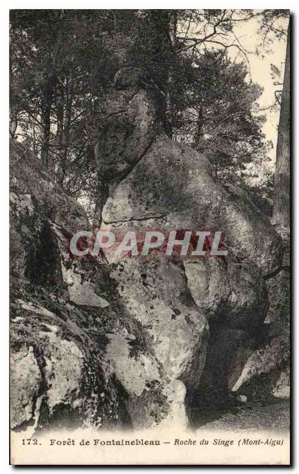 Foresta di Fontainebleau — Roche du Singe (Mont-Aigu)