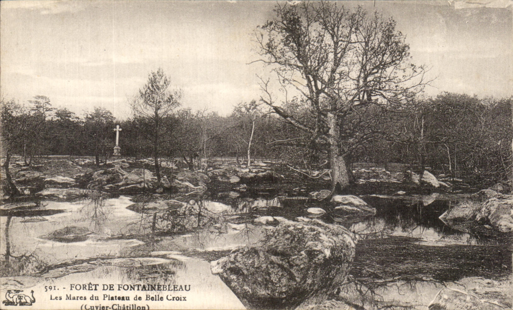 Die Teiche des Plateaus de Belle Croix — Forêt de Fontainebleau — n° 591