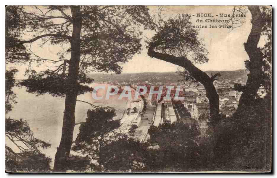 CPA Nice Vue prise du Chateau entree Les Pine