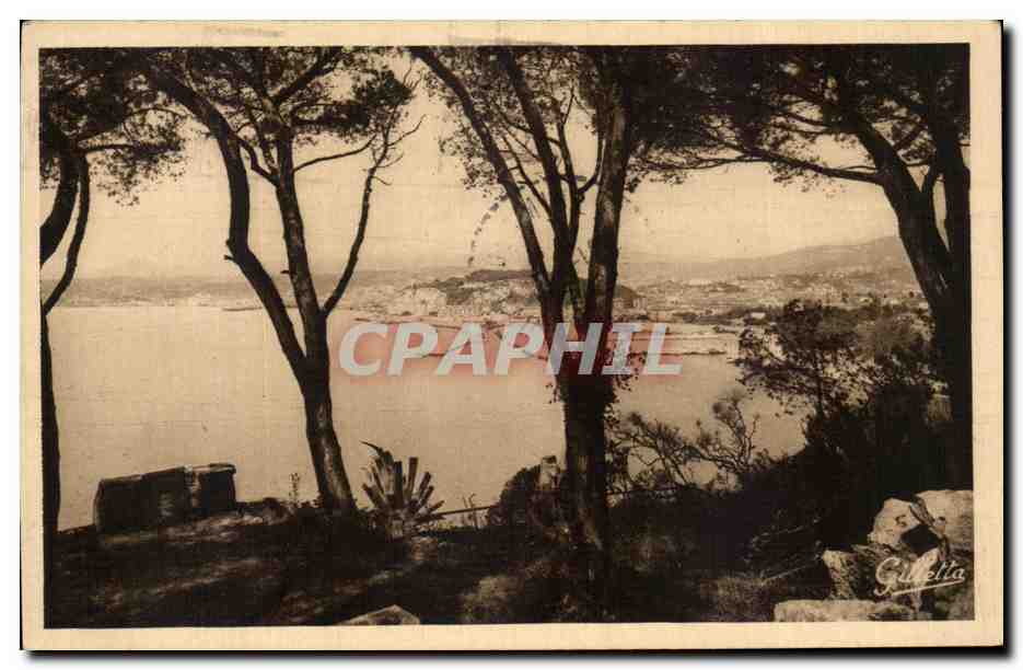 CPA Nice Vue entre les pins