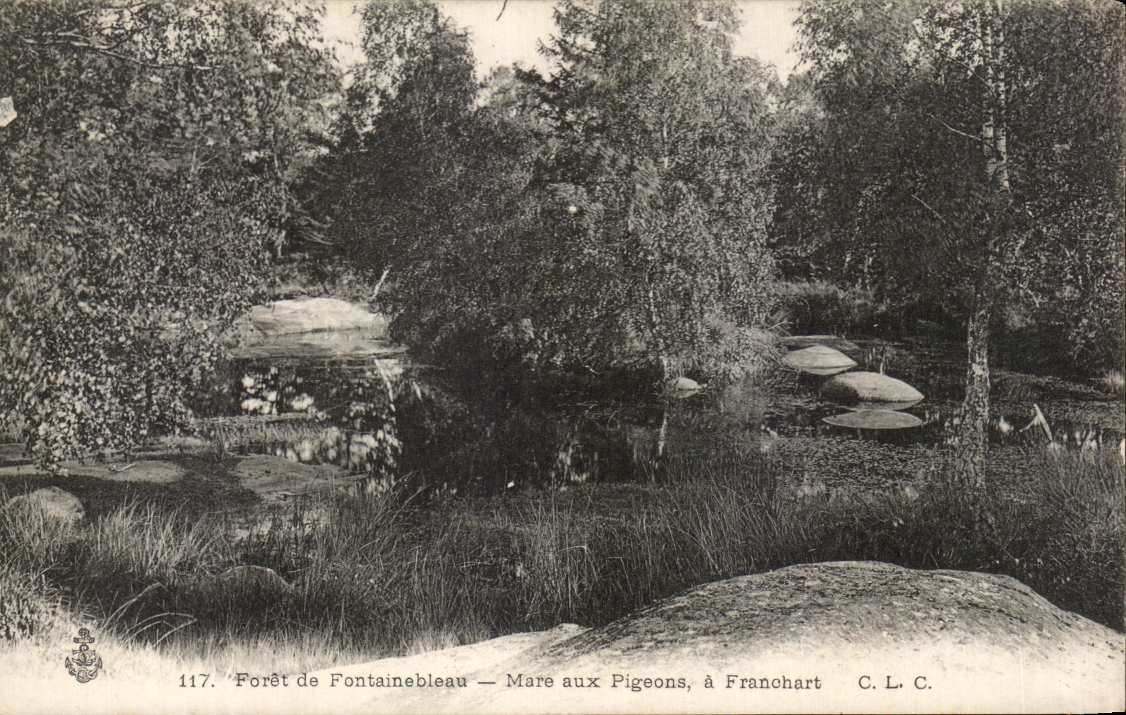Foresta di Fontainebleau — Mare aux Pigeons, a Franchart — C.L.C. n°117