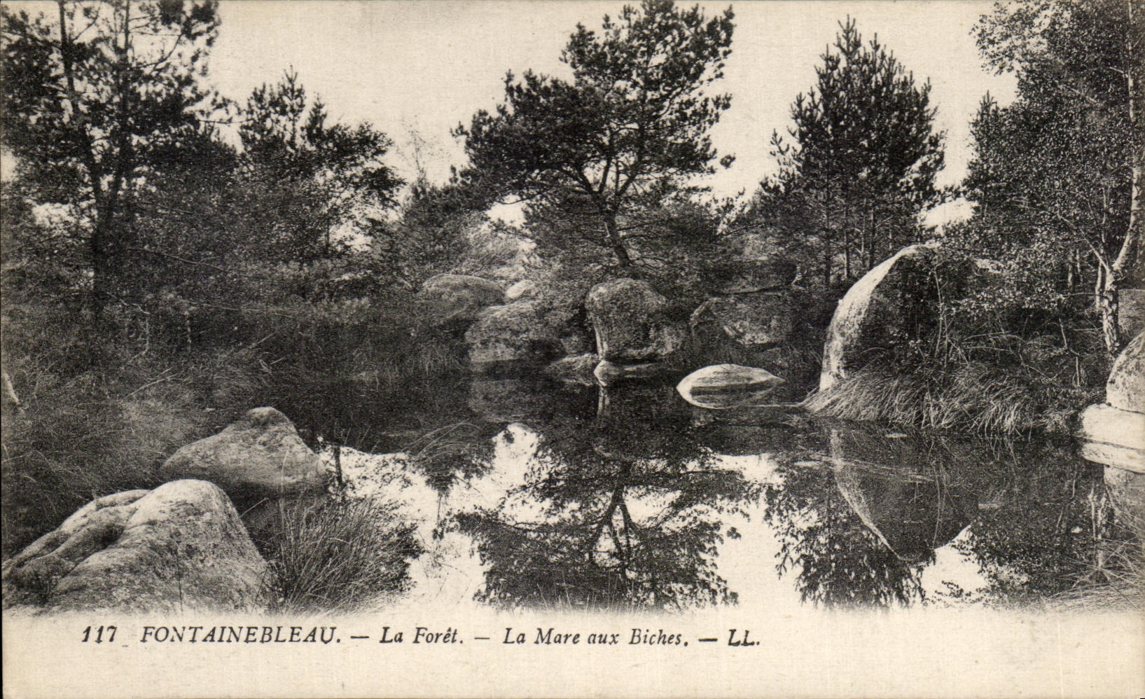 Fontainebleau — La Forêt — La Mare aux Biches — LL. — N° 117