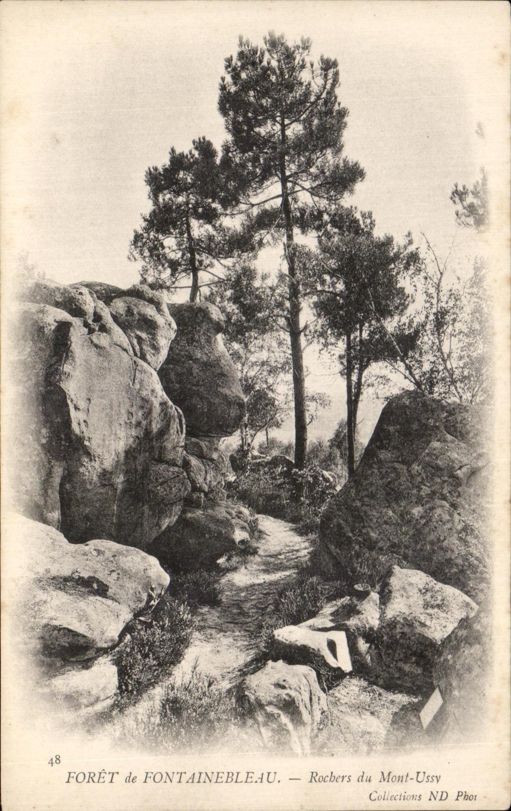 Forêt de Fontainebleau — Rochers du Mont-Ussy — Collections ND Phot