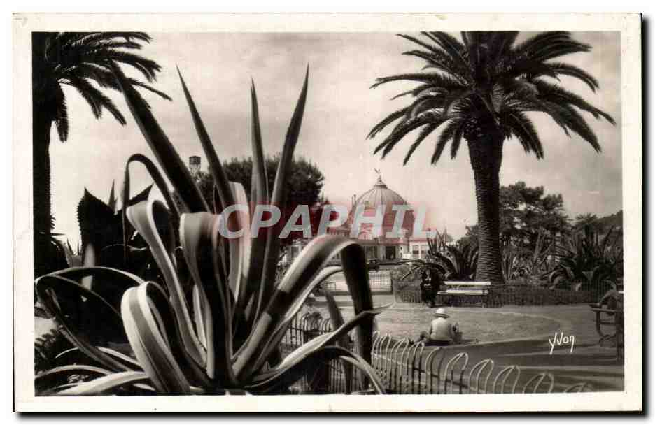 CPA La Douce France Cote D Azur Nice Jardins Albert 1er