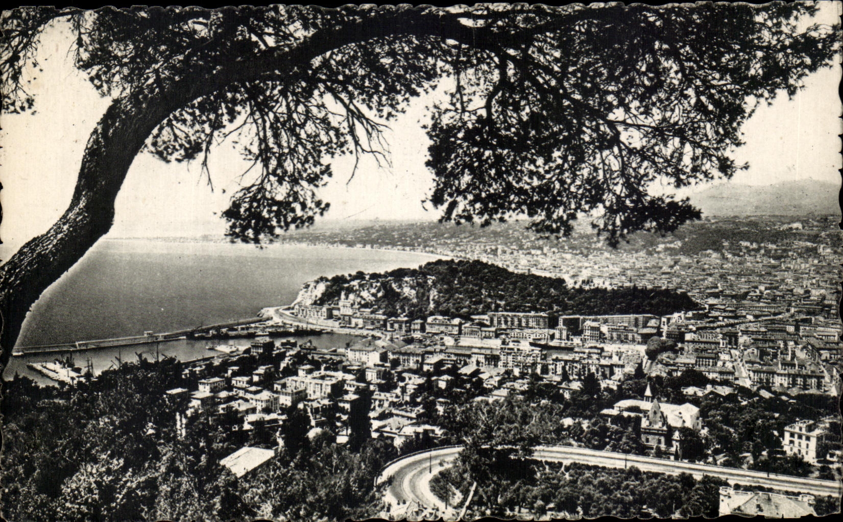 CPA Nice generale prise du Mont Boron
