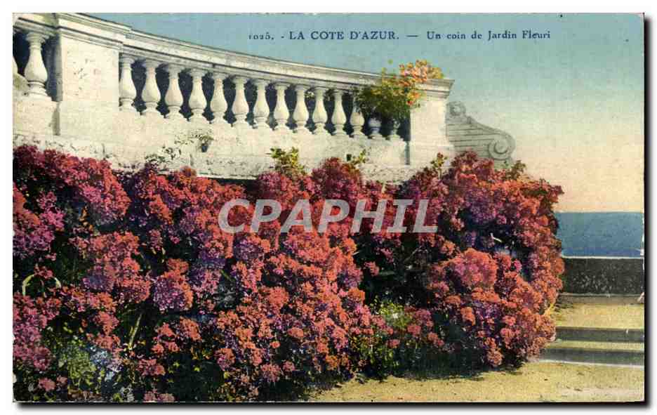CPA La Cote D Azur Un Coin de Jardin Fleuri