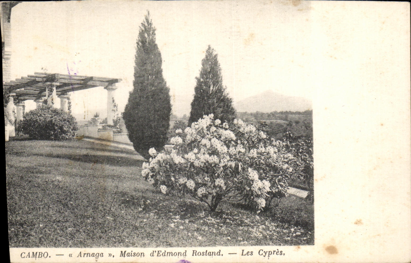 Cambo — « Arnaga », Maison d'Edmond Rostand — Les Cyprès