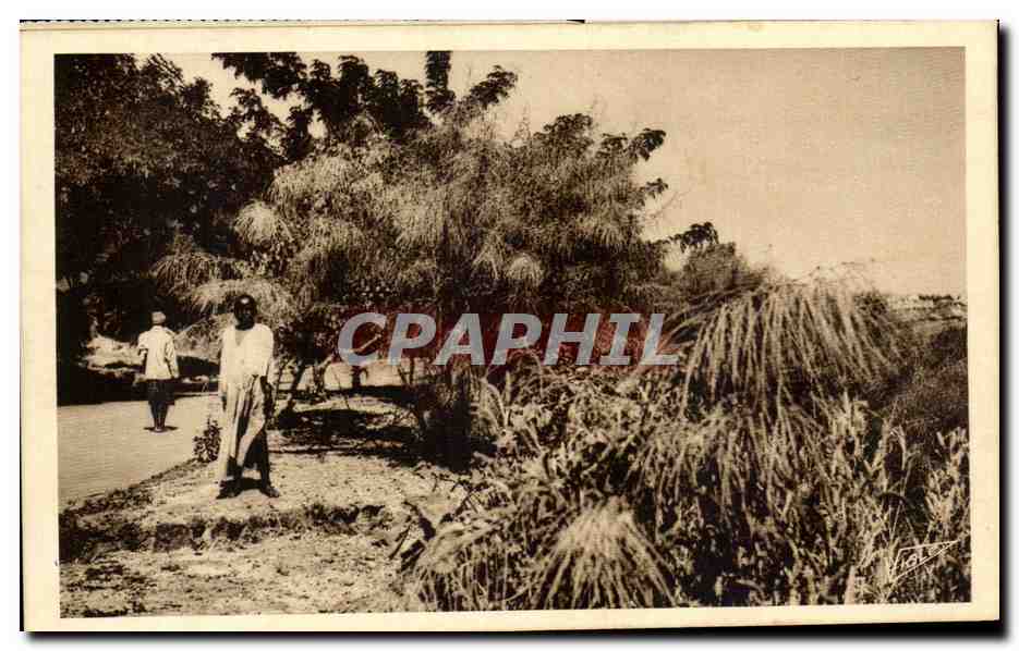 CPA Afrique Occidentale Francaise